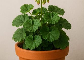 pot bunga